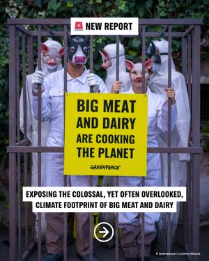 Image post by @greenpeace on Instagram