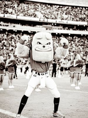 Image post by @ugahairydawg on Instagram
