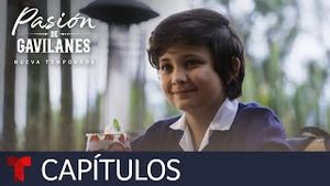 Video post by @telemundo on YouTube