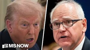 Video post by @msnbc on YouTube