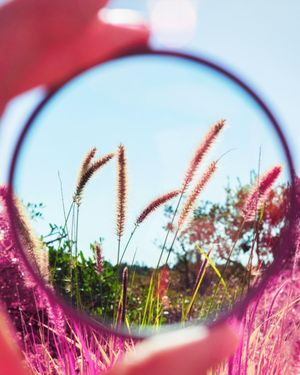 Image post by @vsco on Instagram