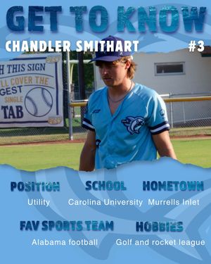 Image post by @ilmsharks on Instagram