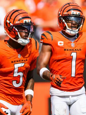 Image post by @bengals on Instagram