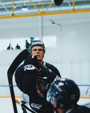 Image post by @leijonatfi on Instagram