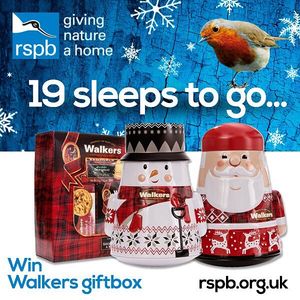 Image post by @rspb on Instagram
