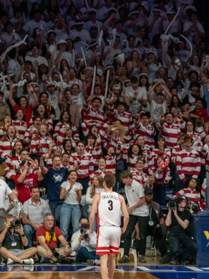 Image post by @zonazooofficial on Instagram