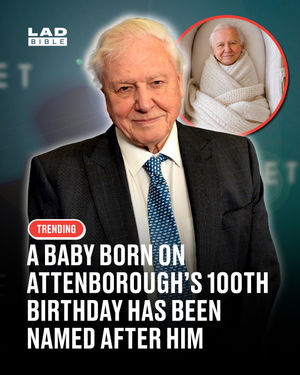 Image post by @ladbible on Instagram
