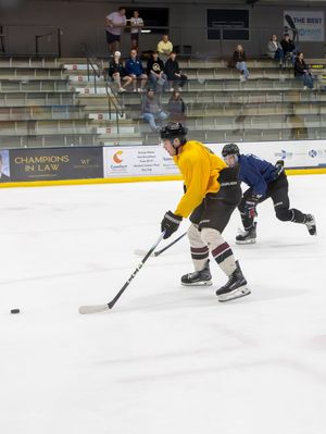Image post by @sfstampede on Instagram