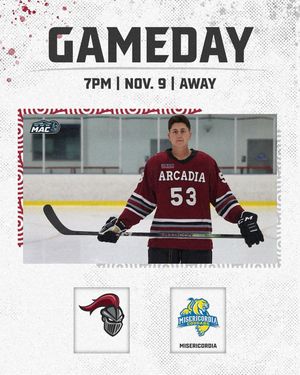 Image post by @arcadia_mih on Instagram