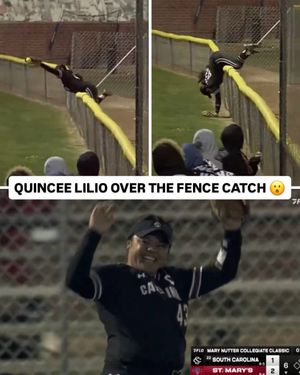 Image post by @ncaasoftball on Instagram