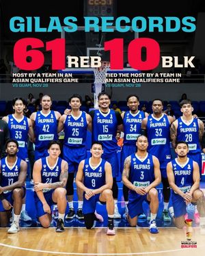 Image post by @fibawc on Instagram