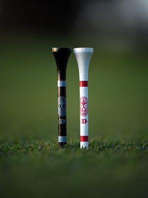 Image post by @evolvegolf on Instagram