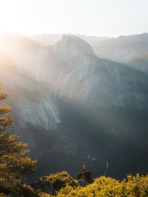 Image post by @meshna on Instagram