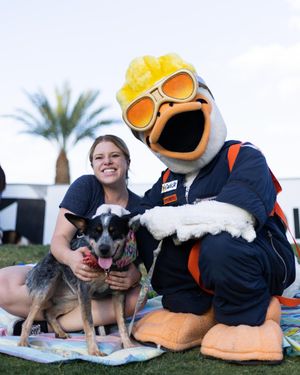 Image post by @aviatorslv on Instagram