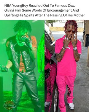 Image post by @nojumper on Instagram