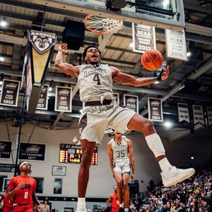 Image post by @gobonnies on Instagram