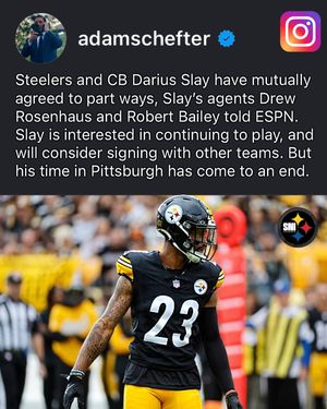 Image post by @steeler.nation.inc on Instagram