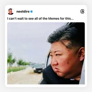 Image post by @neeldire on Instagram