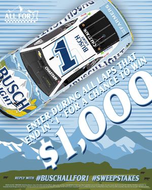 Image post by @BuschBeer on Twitter
