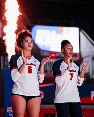 Image post by @stonybrookvb on Instagram