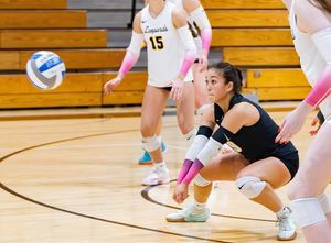 Image post by @witathletics on Instagram