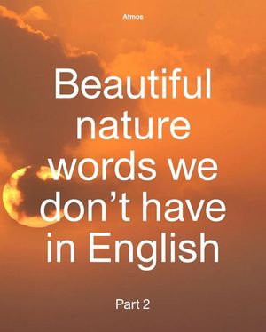 Image post by @green.anarchist on Instagram