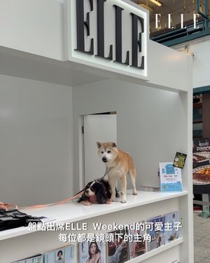 Image post by @ellehongkong on Instagram