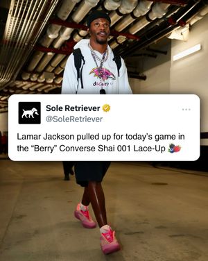 Image post by @soleretriever on Instagram