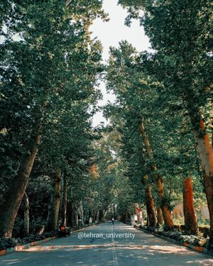 Image post by @tehran_university on Instagram