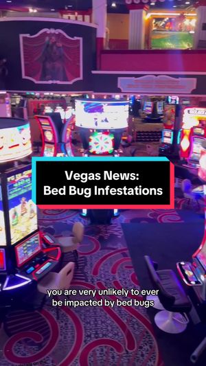 Video post by @vegasstarfish on TikTok