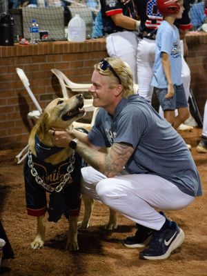 Image post by @ilmsharks on Instagram
