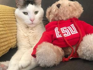 Image post by @esuniversity on Instagram