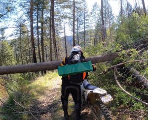 Image post by @goldenstate_nordicmining on Instagram