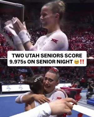 Image post by @planetofgymnastics on Instagram