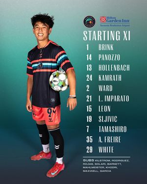 Image post by @sarasotaparadise on Instagram