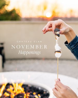 Image post by @chateau_elan on Instagram