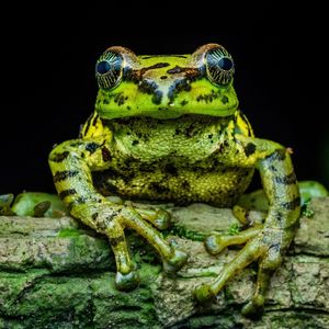 Image post by @bbcearth on Instagram