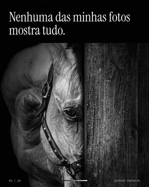 Image post by @jacksoncarvalho on Instagram