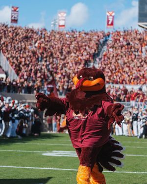Image post by @virginia.tech on Instagram