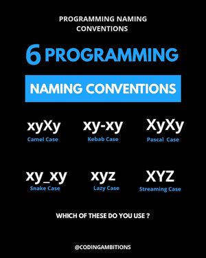 Image post by @codingambitions on Instagram