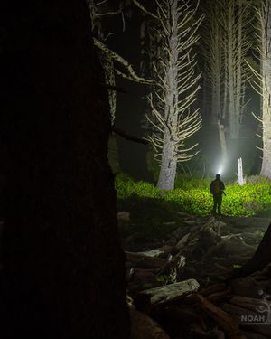 Image post by @noahwetzel on Instagram