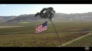 Video post by @satostudios on Instagram