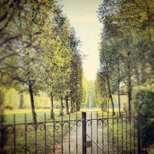 Image post by @profvanacore on Instagram