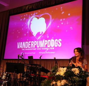 Image post by @lisavanderpump on Instagram