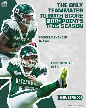 Image post by @greenbayblizzard on Instagram
