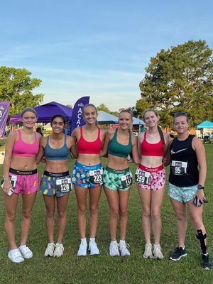 Image post by @chicknlegsrunning on Instagram