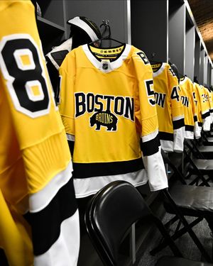 Image post by @nhl on Instagram