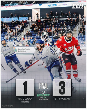 Image post by @everythingcollegehockey on Instagram