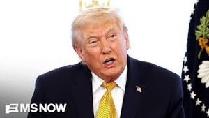 Video post by @msnbc on YouTube