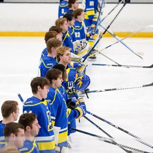 Image post by @nanookshockey on Instagram